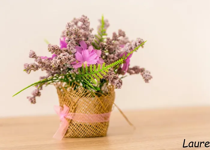 Laurea & Casia Апартаменты Пула